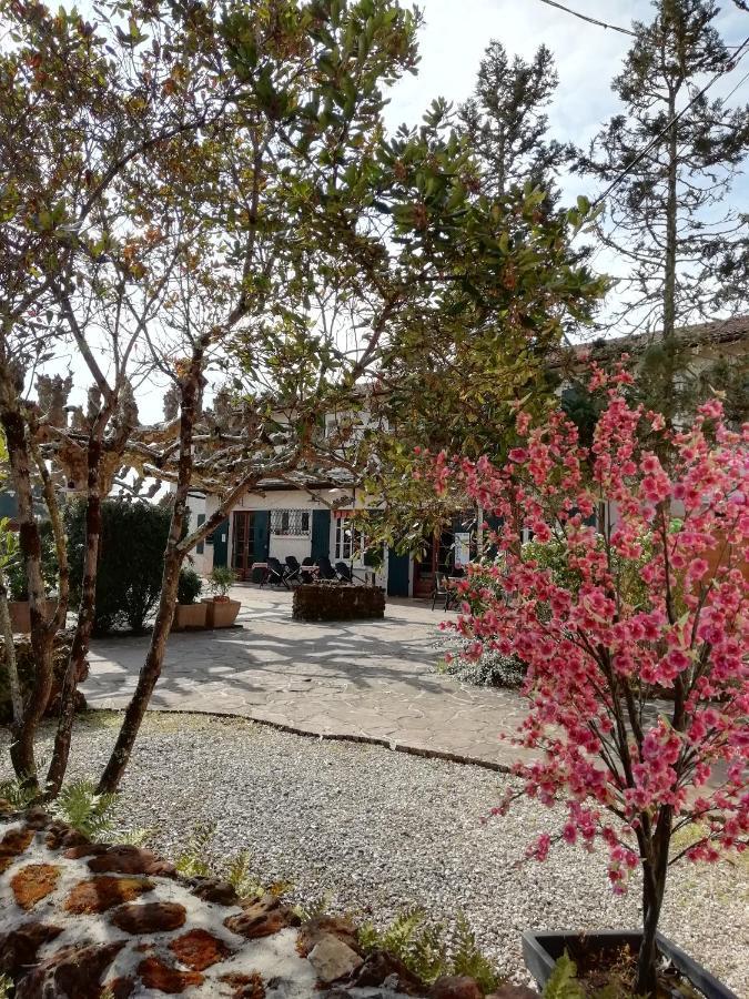 L'Auberge De Lugos المظهر الخارجي الصورة